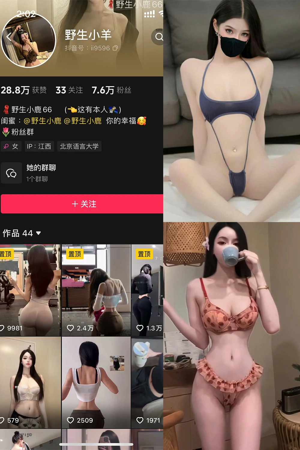 电鸽 野生小羊 抖音网红 NO.003期 【27P20V】抖音完整版合集-电鸽