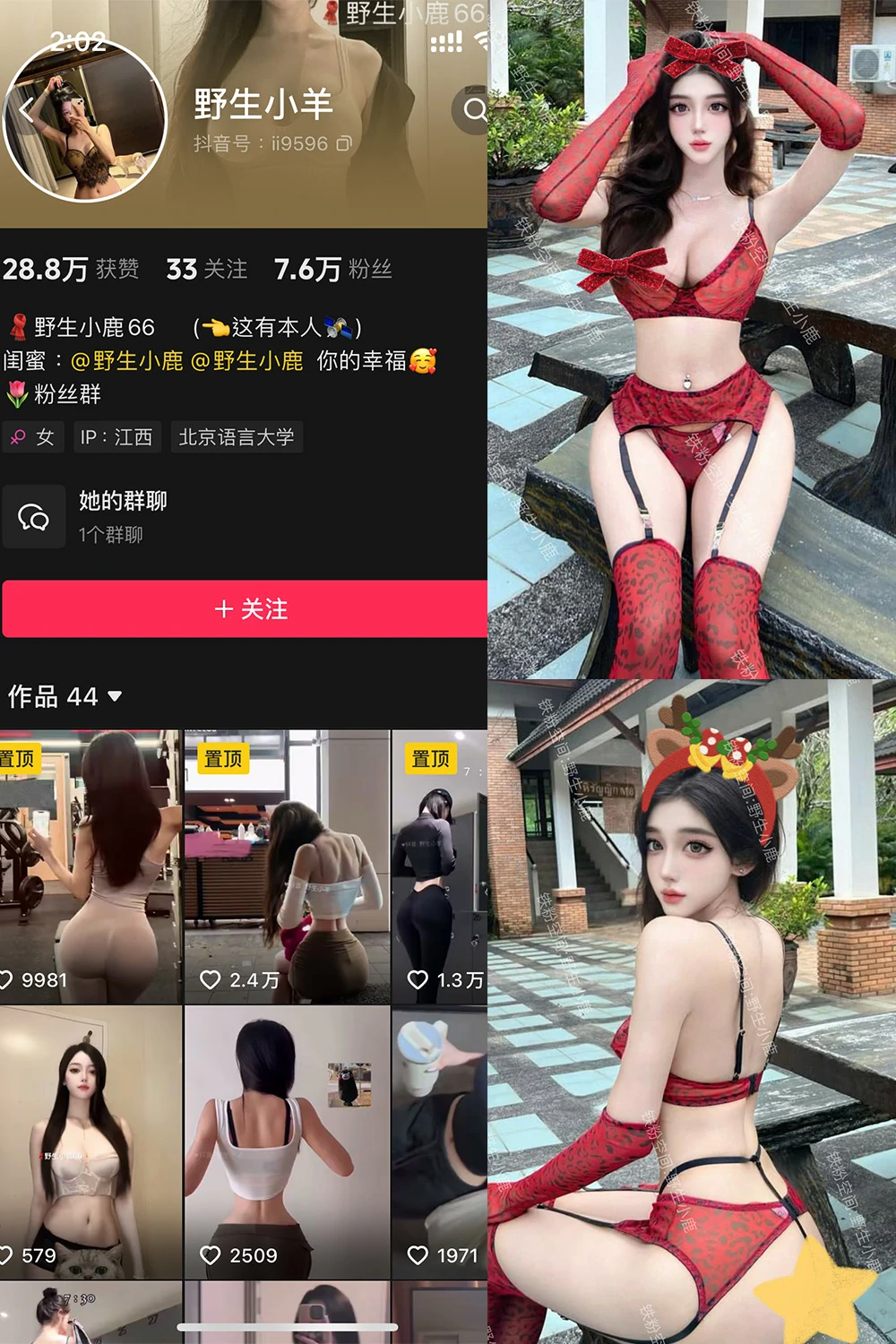 电鸽 野生小羊 抖音网红 NO.008期 【25P】抖音完整版合集-电鸽