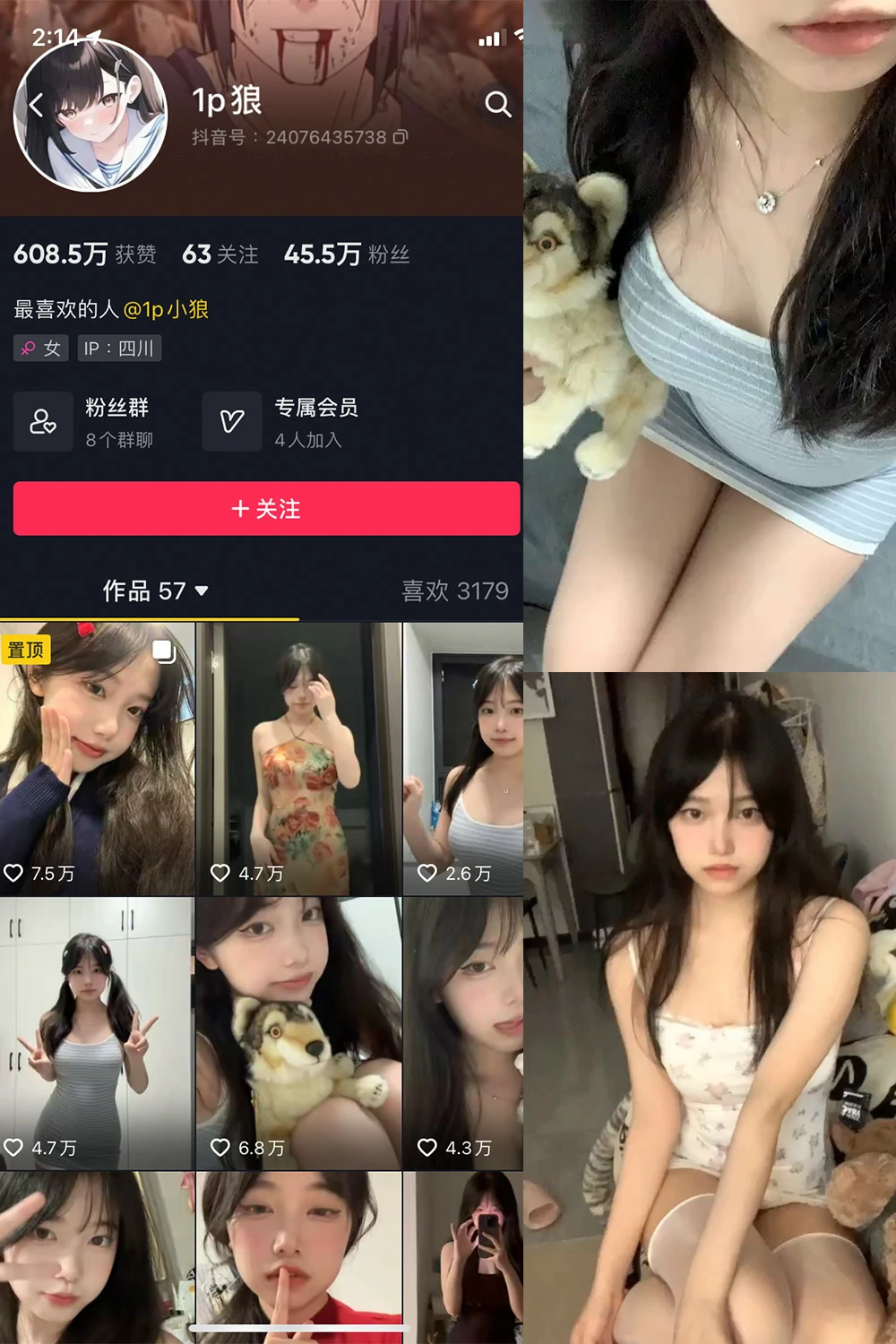 电鸽 1p狼 抖音网红 NO.003期 【21P11V】抖音完整版合集-电鸽